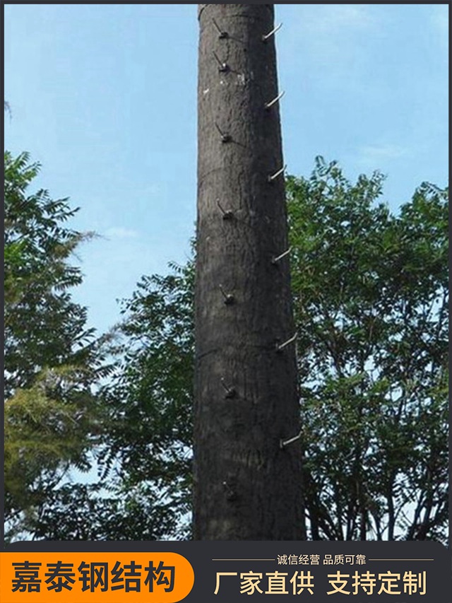 仿生樹(shù)塔 